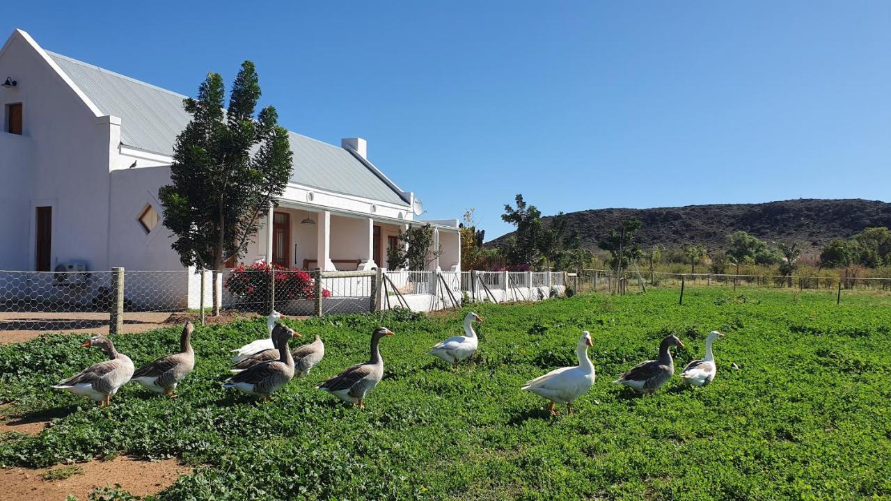 Mirtehof Guest Farm Estate Guest House Prince Albert Exterior photo